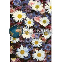 Монгольский ковер Hunnu 6A2366_176 Разноцветный